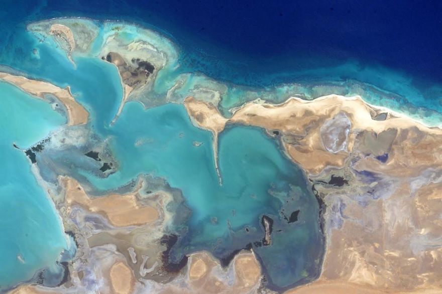 A Brief Collection Of Photos From 'Year In Space' Mission