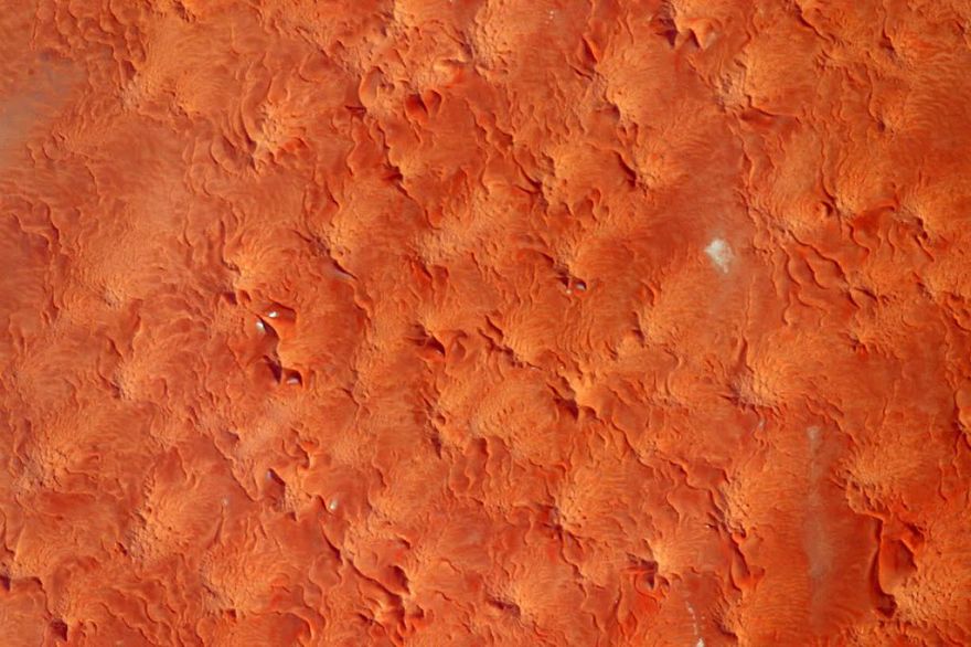 A Brief Collection Of Photos From 'Year In Space' Mission