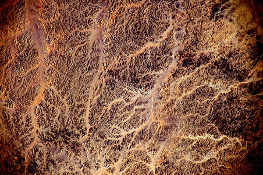 A Brief Collection Of Photos From 'Year In Space' Mission