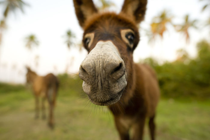 "okay, I'll Let You Capture My Beauty—but Just This Once!"