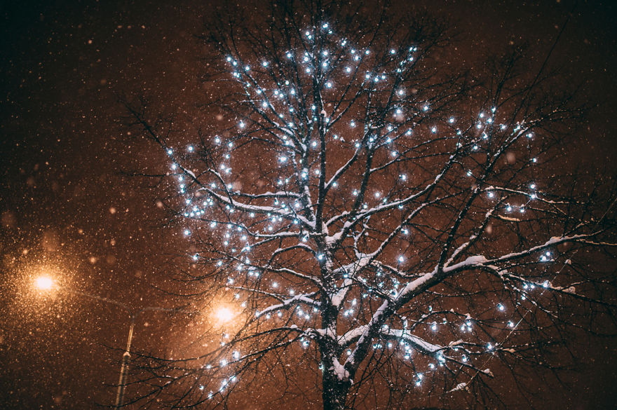 After Missing My Bus I Decided To Walk Home In A Blizzard And Photograph My City Tallinn