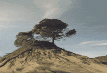 amazing-gifs-micael-reynaud-4