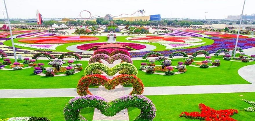Amazing Pictures Of Dubai Miracle Garden
