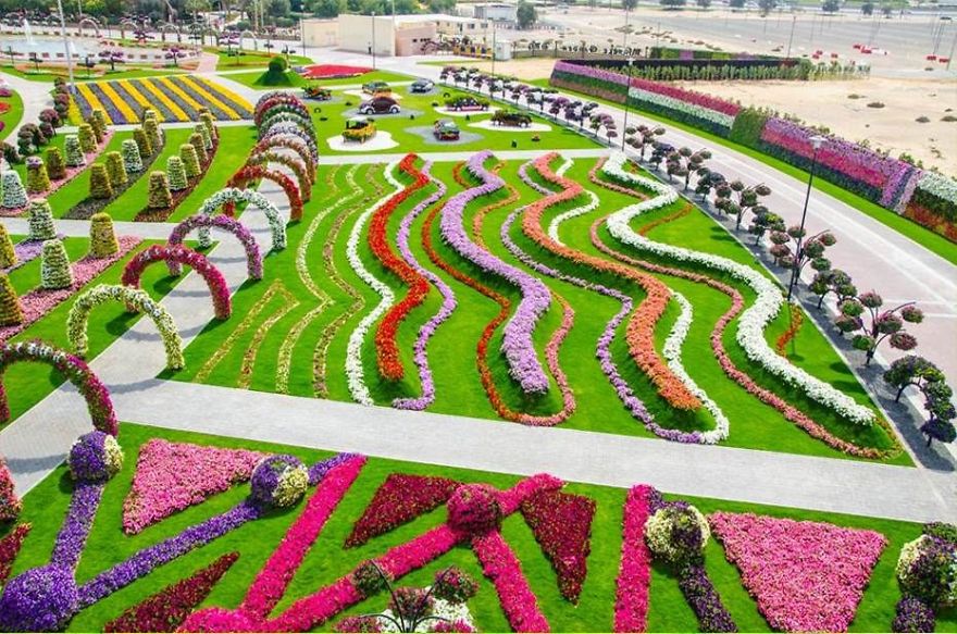Amazing Pictures Of Dubai Miracle Garden Amazing Pictures Of Dubai Miracle Garden