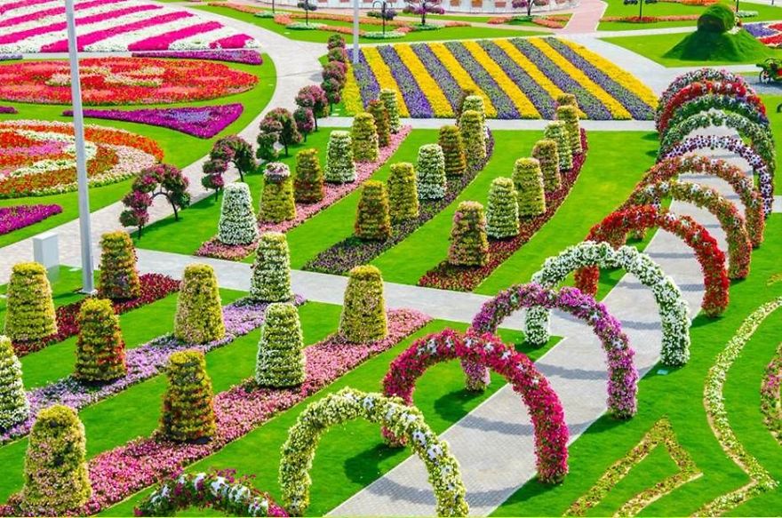 Amazing Pictures Of Dubai Miracle Garden Amazing Pictures Of Dubai Miracle Garden