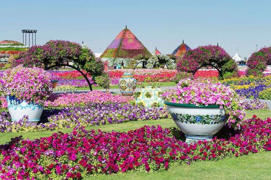 Amazing Pictures Of Dubai Miracle Garden