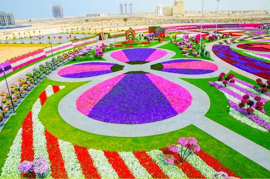 Amazing Pictures Of Dubai Miracle Garden Amazing Pictures Of Dubai Miracle Garden