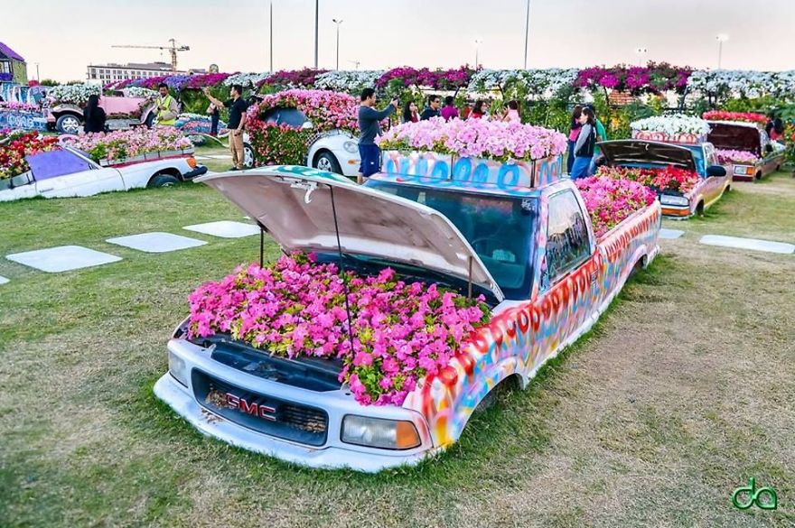Amazing Pictures Of Dubai Miracle Garden