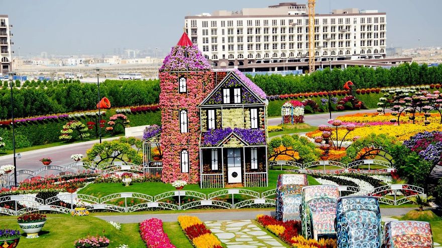 Amazing Pictures Of Dubai Miracle Garden