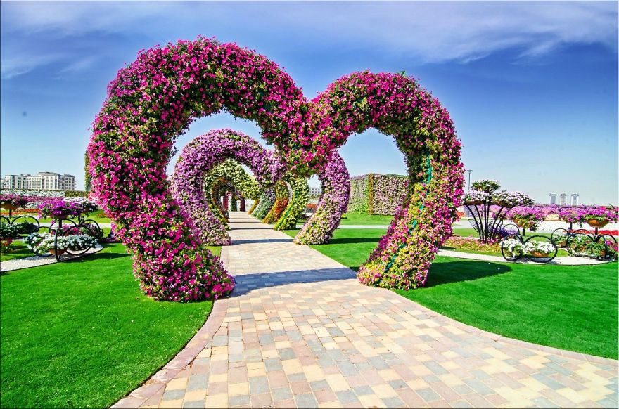 Amazing Pictures Of Dubai Miracle Garden Amazing Pictures Of Dubai Miracle Garden