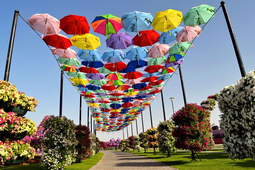 Amazing Pictures Of Dubai Miracle Garden