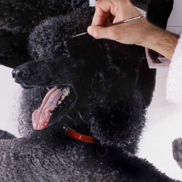 Artist's Meticulously Detailed Paintings Play With Perceptions Of Size. Artist's Meticulously Detailed Paintings Play With Perceptions Of Size.