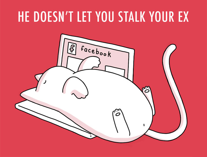 10 Benefits Of Having A Cat In Case Of A Break Up