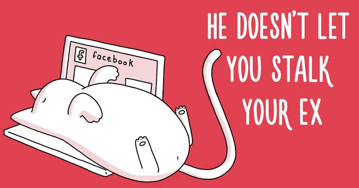 10 Benefits Of Having A Cat In Case Of A Break Up