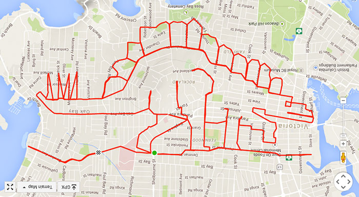 Dopey stegosaurus tramples Fernwood (44.4 km, 1 h 56 min)