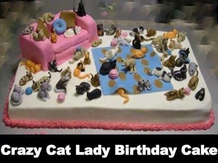 Cat Cake