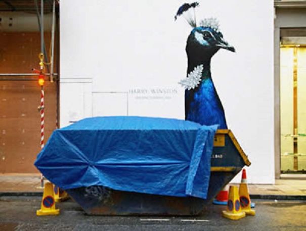 Curiously Coincidental Photos