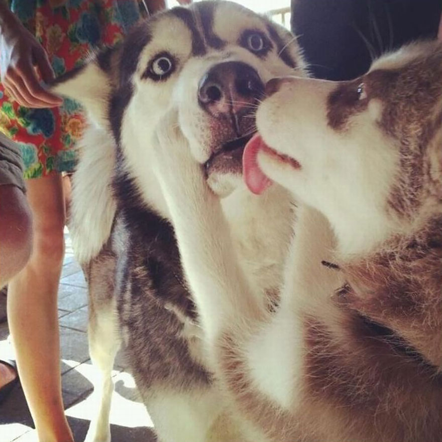 That Awkward First Kiss