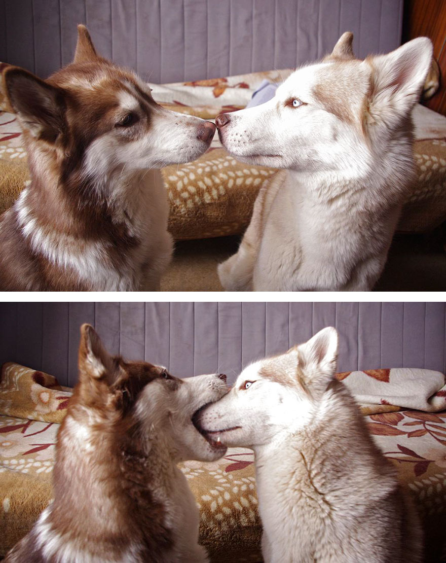 First Kiss