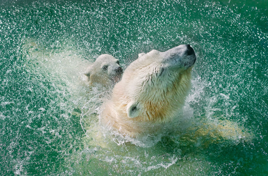 A Shower For A Daughter