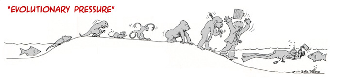 Evolutionary Pressure