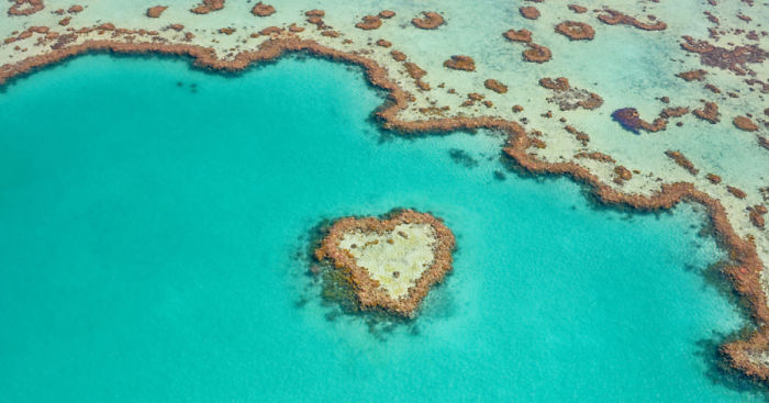 I Captured Breathtaking Sea And Sand Patterns From A Helicopter (Can You Find The Hidden Dolphin?)