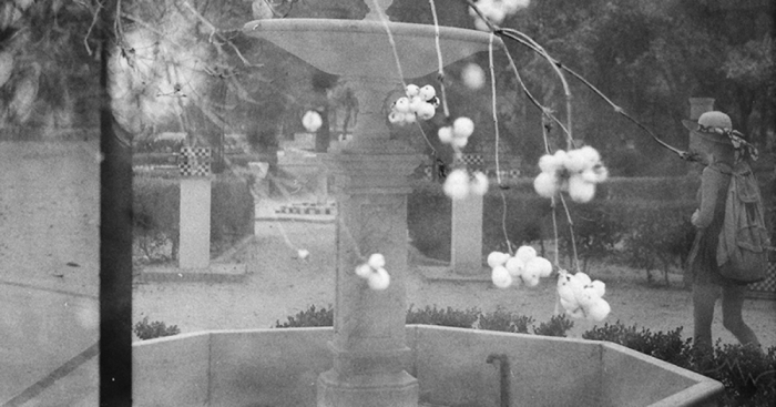 I Accidentally Used One 35mm Film Twice And The Results Are Not Too Bad