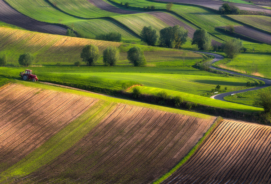 For 20 Years I've Been Photographing European Fields, Which Look Like Sea Waves For 20 Years I've Been Photographing European Fields, Which Look Like Sea Waves