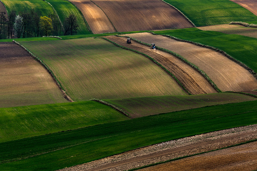 For 20 Years I've Been Photographing European Fields, Which Look Like Sea Waves