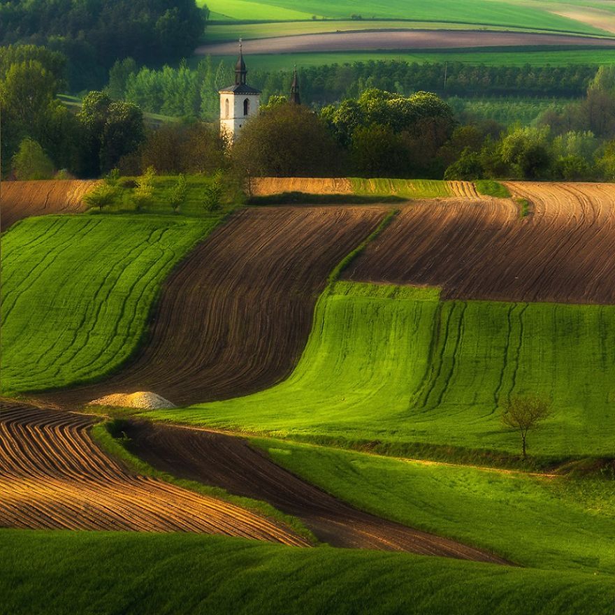 For 20 Years I've Been Photographing European Fields, Which Look Like Sea Waves