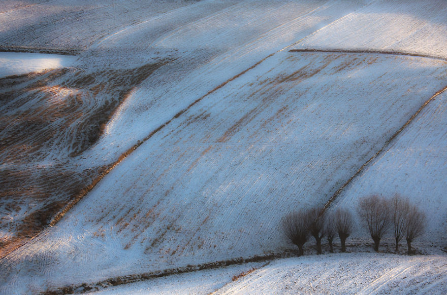 For 20 Years I've Been Photographing European Fields, Which Look Like Sea Waves