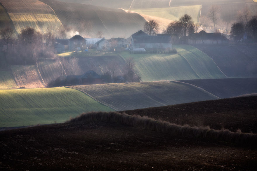 For 20 Years I've Been Photographing European Fields, Which Look Like Sea Waves