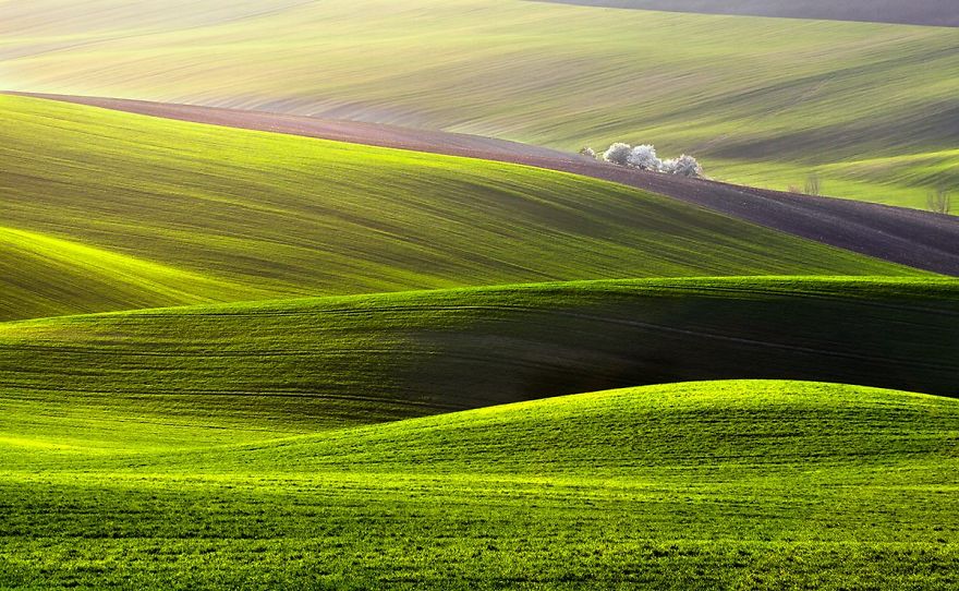 For 20 Years I've Been Photographing European Fields, Which Look Like Sea Waves For 20 Years I've Been Photographing European Fields, Which Look Like Sea Waves