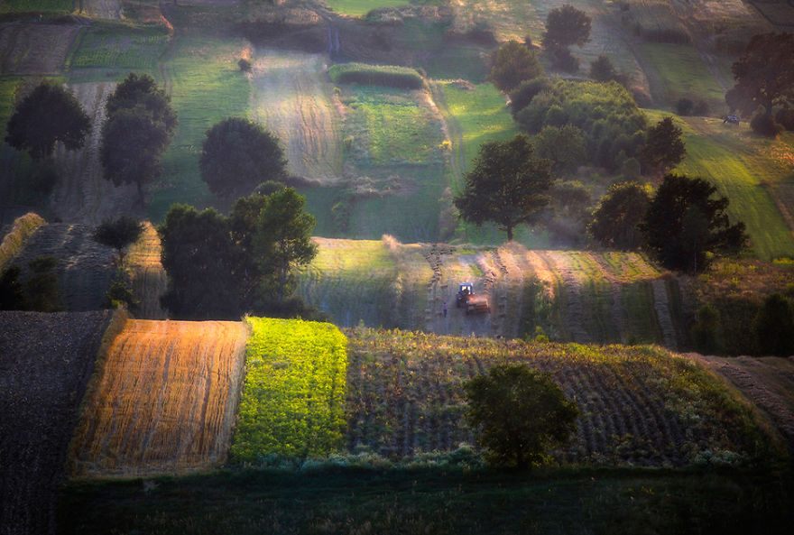 For 20 Years I've Been Photographing European Fields, Which Look Like Sea Waves