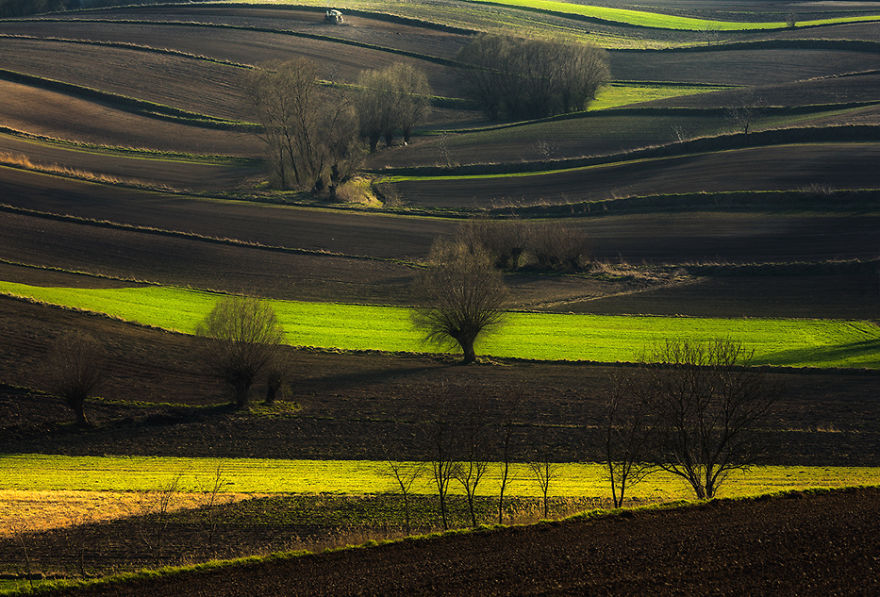 For 20 Years I've Been Photographing European Fields, Which Look Like Sea Waves