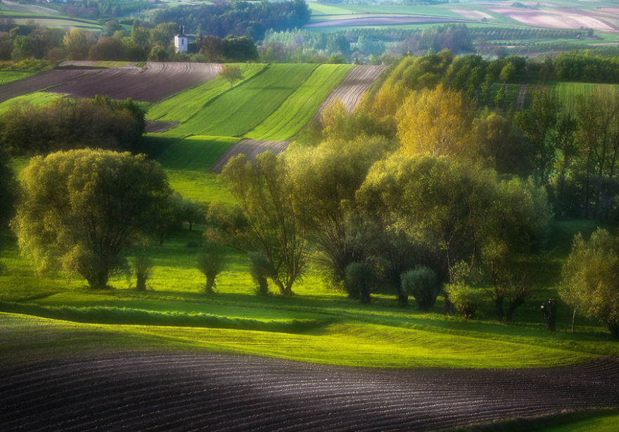 For 20 Years I've Been Photographing European Fields, Which Look Like Sea Waves For 20 Years I've Been Photographing European Fields, Which Look Like Sea Waves