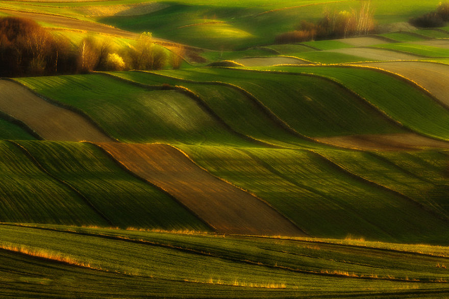 For 20 Years I've Been Photographing European Fields, Which Look Like Sea Waves