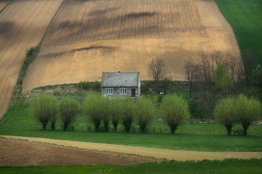 For 20 Years I've Been Photographing European Fields, Which Look Like Sea Waves