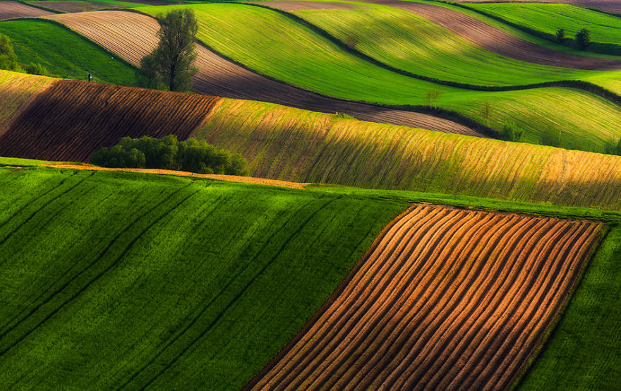 For 20 Years I've Been Photographing European Fields, Which Look Like Sea Waves For 20 Years I've Been Photographing European Fields, Which Look Like Sea Waves