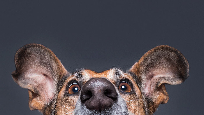 Table Edge Supervisor