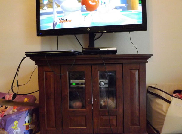 Never Play Hide And Seek With A 2 Year Old