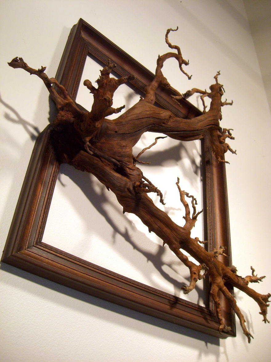 I Give A Second Life To Dead Trees By Fusing Them With Picture Frames