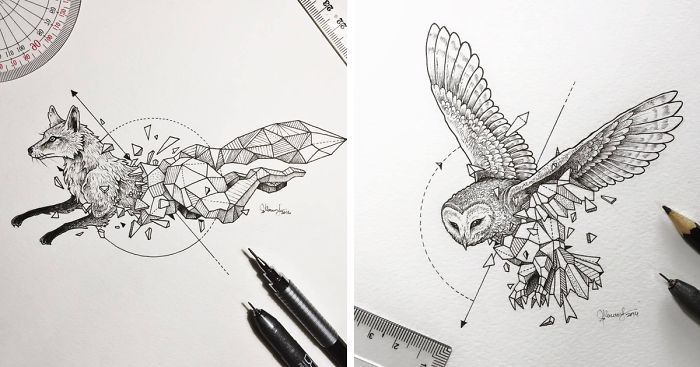 Intricate Drawings Of Wild Animals Fused With Geometric Shapes