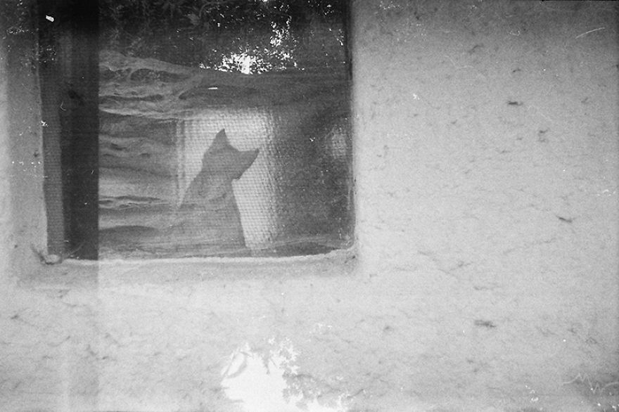 I Accidentally Used One 35mm Film Twice And The Results Are Not Too Bad