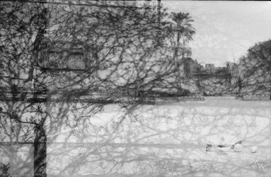 I Accidentally Used One 35mm Film Twice And The Results Are Not Too Bad I Accidentally Used One 35mm Film Twice And The Results Are Not Too Bad