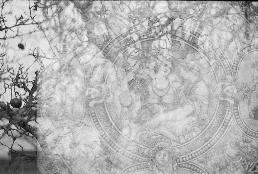 I Accidentally Used One 35mm Film Twice And The Results Are Not Too Bad