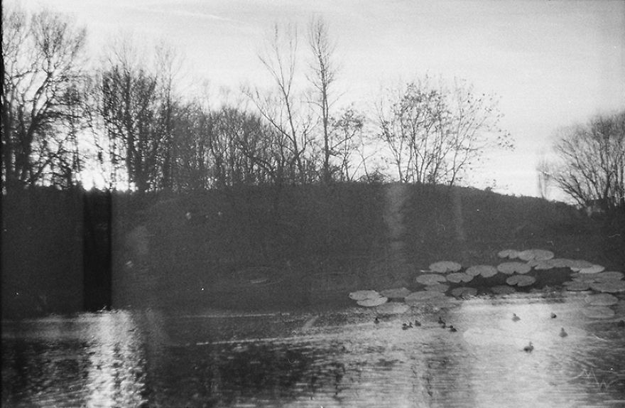 I Accidentally Used One 35mm Film Twice And The Results Are Not Too Bad