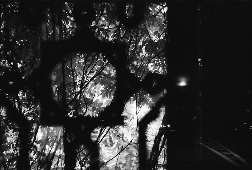 I Accidentally Used One 35mm Film Twice And The Results Are Not Too Bad I Accidentally Used One 35mm Film Twice And The Results Are Not Too Bad