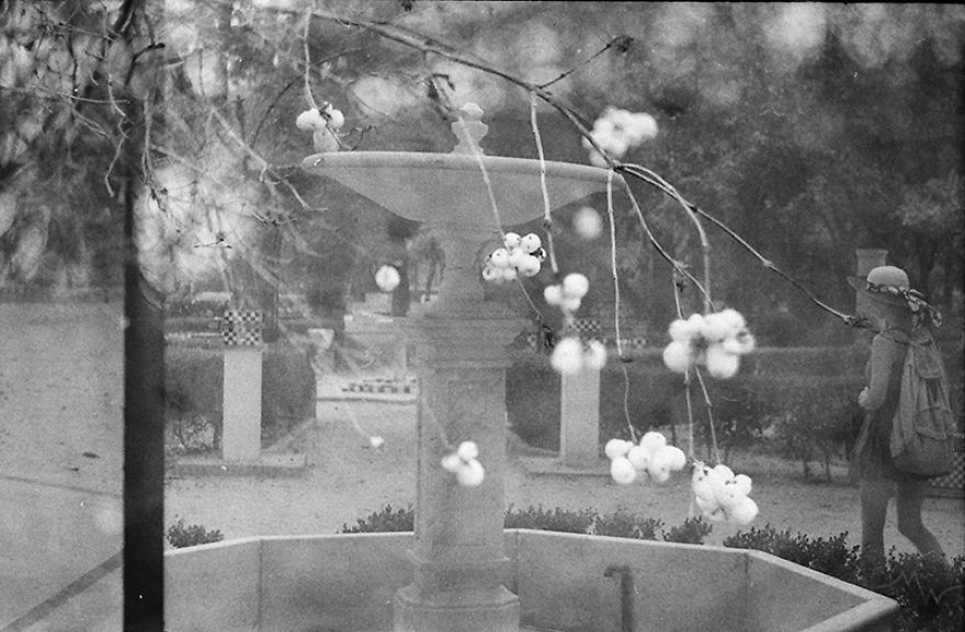 I Accidentally Used One 35mm Film Twice And The Results Are Not Too Bad I Accidentally Used One 35mm Film Twice And The Results Are Not Too Bad