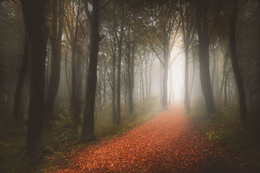 I Captured 'Stories Of The Forests' Inspired By My Grandmother's Tales I Captured 'Stories Of The Forests' Inspired By My Grandmother's Tales